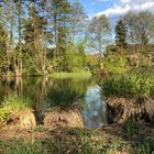 Im Kurpark Bad Bodenteich