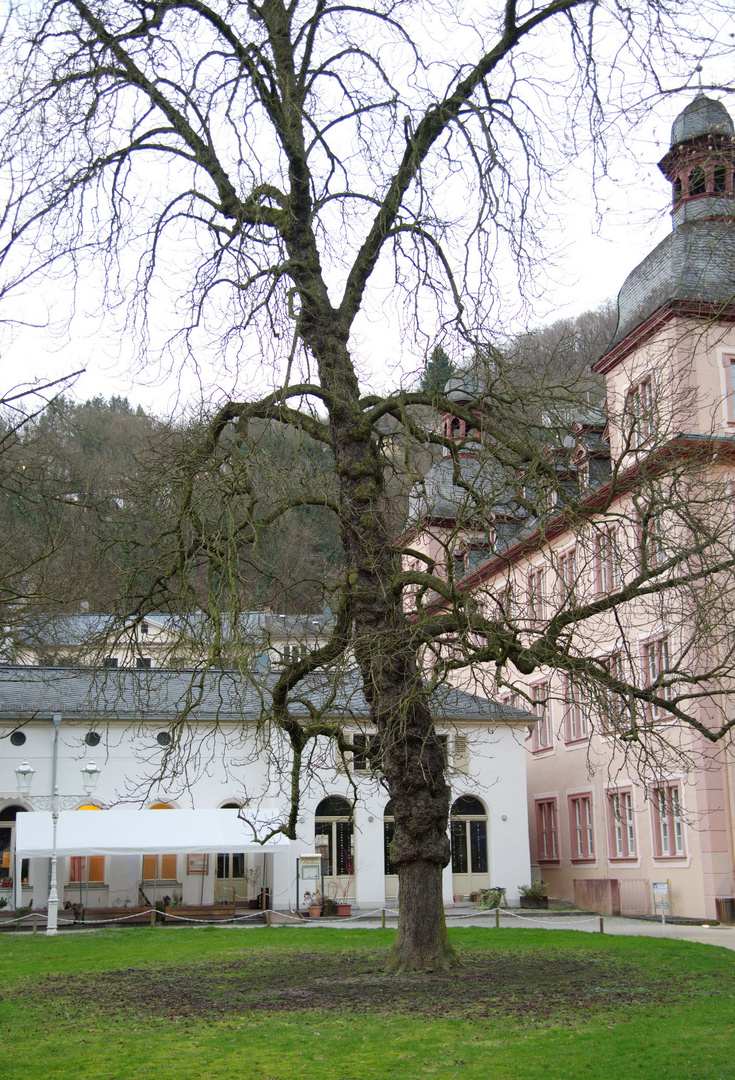 im Kurpark Bad Ems