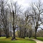 Im Kurpark Bad Homburg