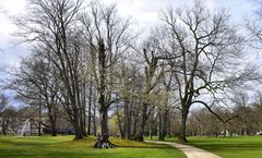 Im Kurpark Bad Homburg