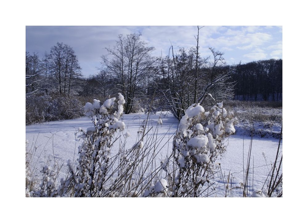 Im Kurpark Bad Schwartau 3 Foto & Bild jahreszeiten, winter, bad schwartau Bilder auf