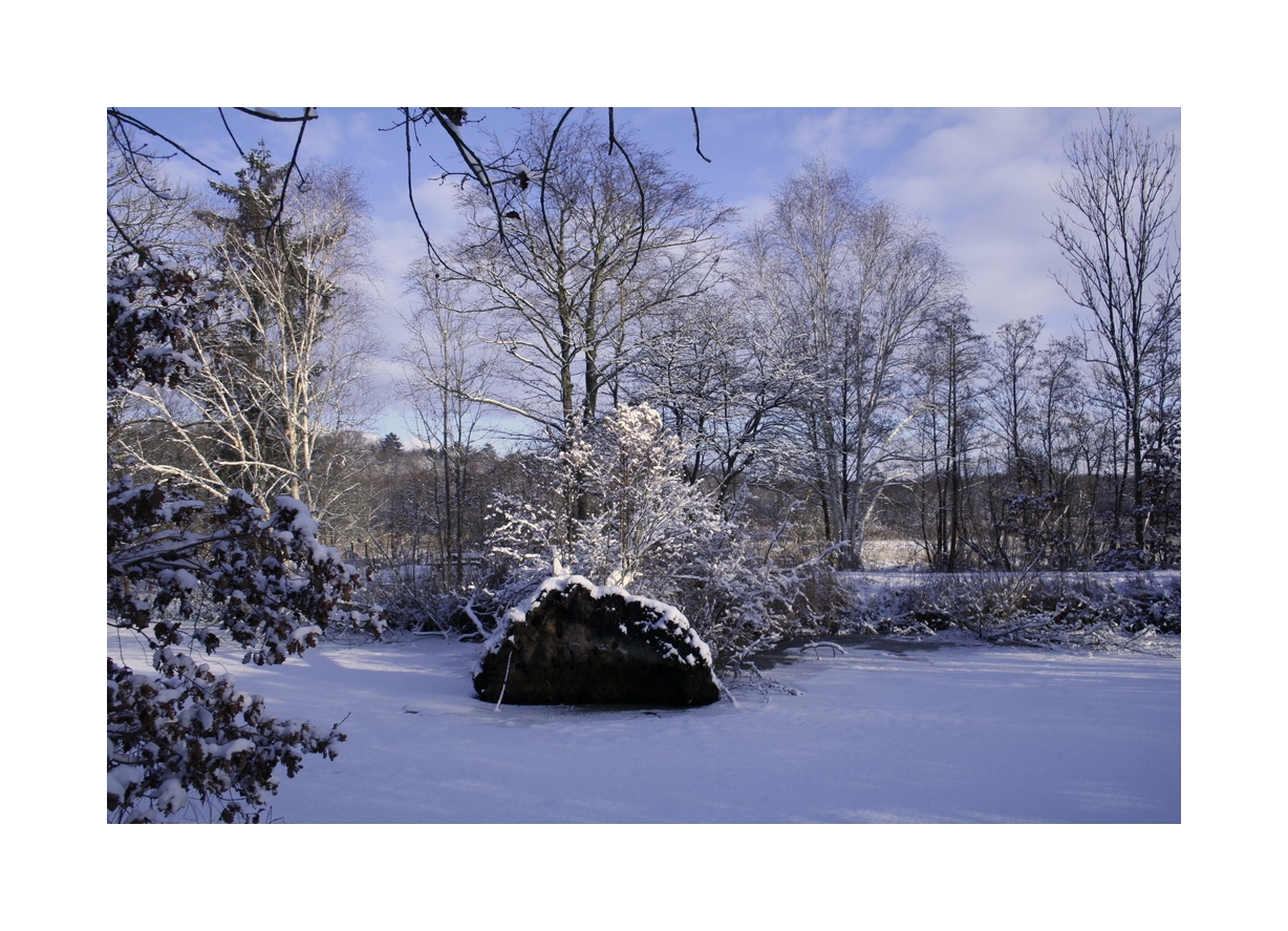 Im Kurpark Bad Schwartau 5 Foto