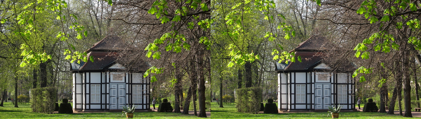 im Kurpark (Kreuzblick-Stereo u. für 3D-Tv)