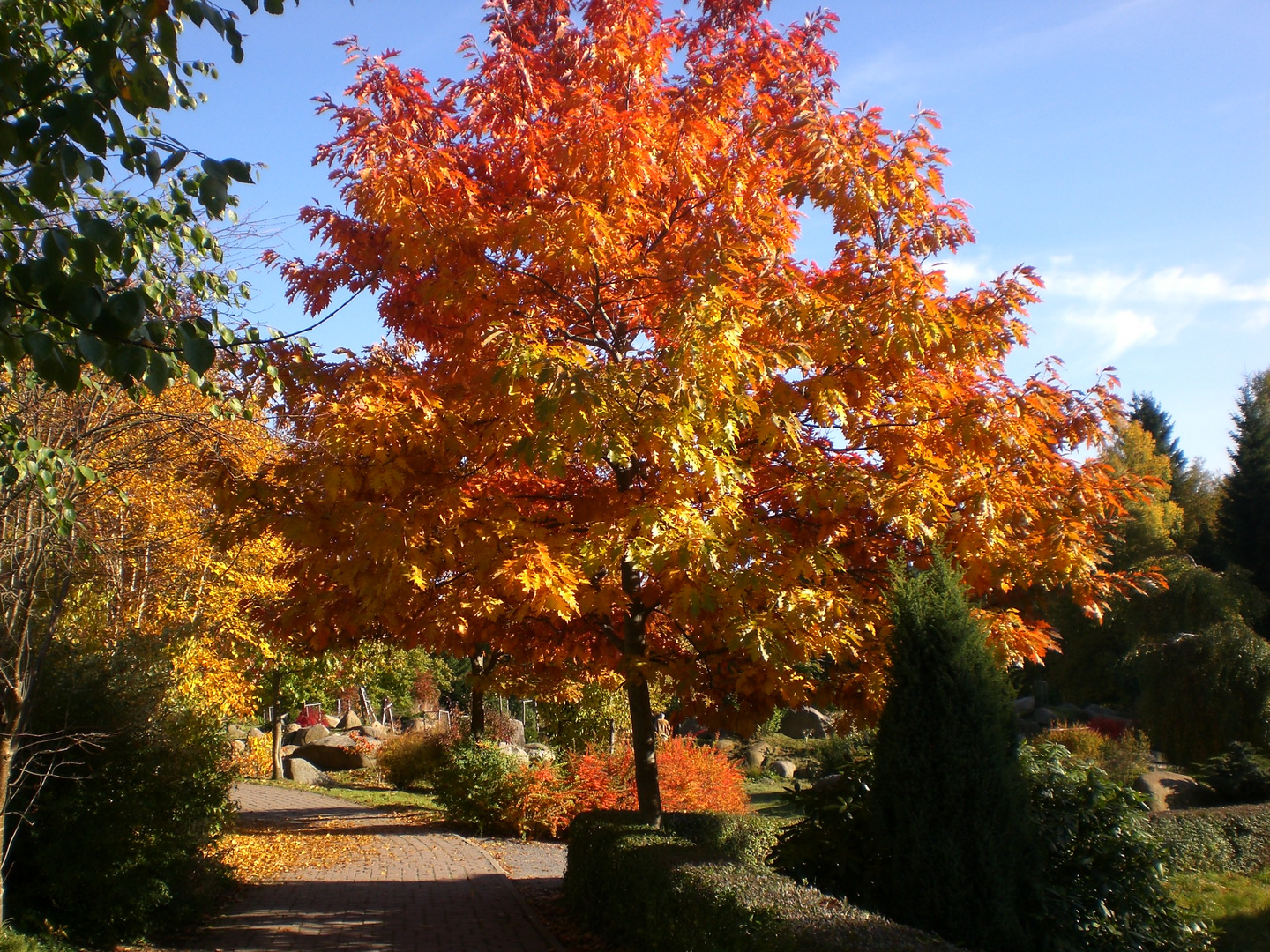 Im Kurpark Schierke