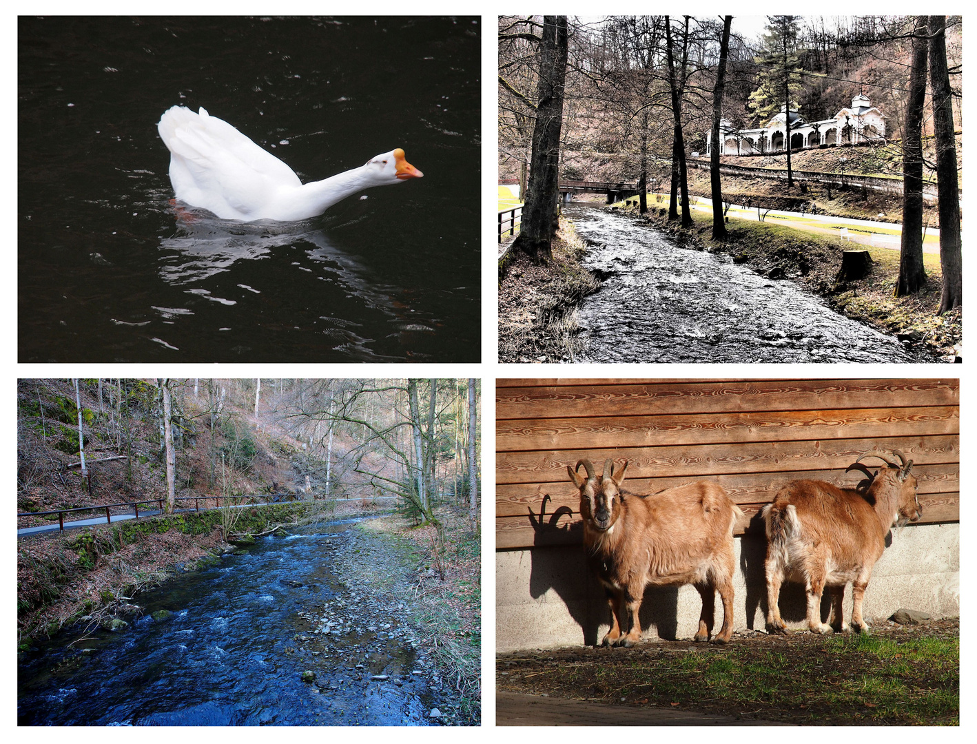 Im Kurpark von Bad Berneck