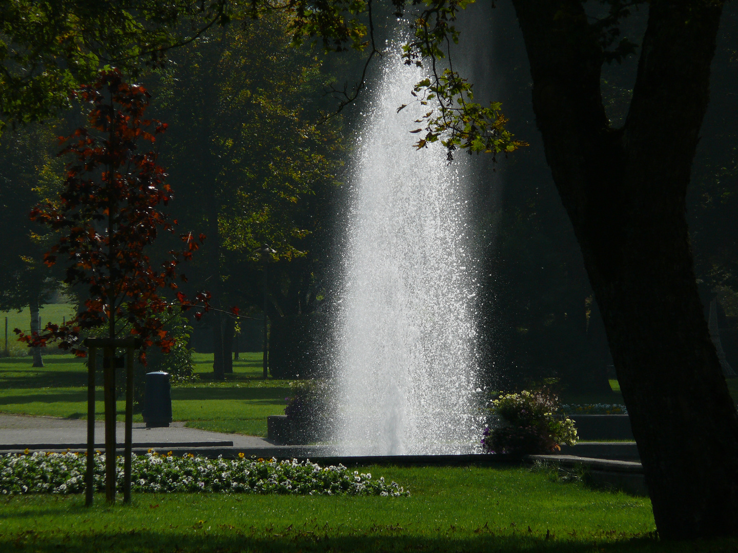 Im Kurpark von Bad Dürrheim