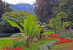 Im Kurpark von Bad Reichenhall