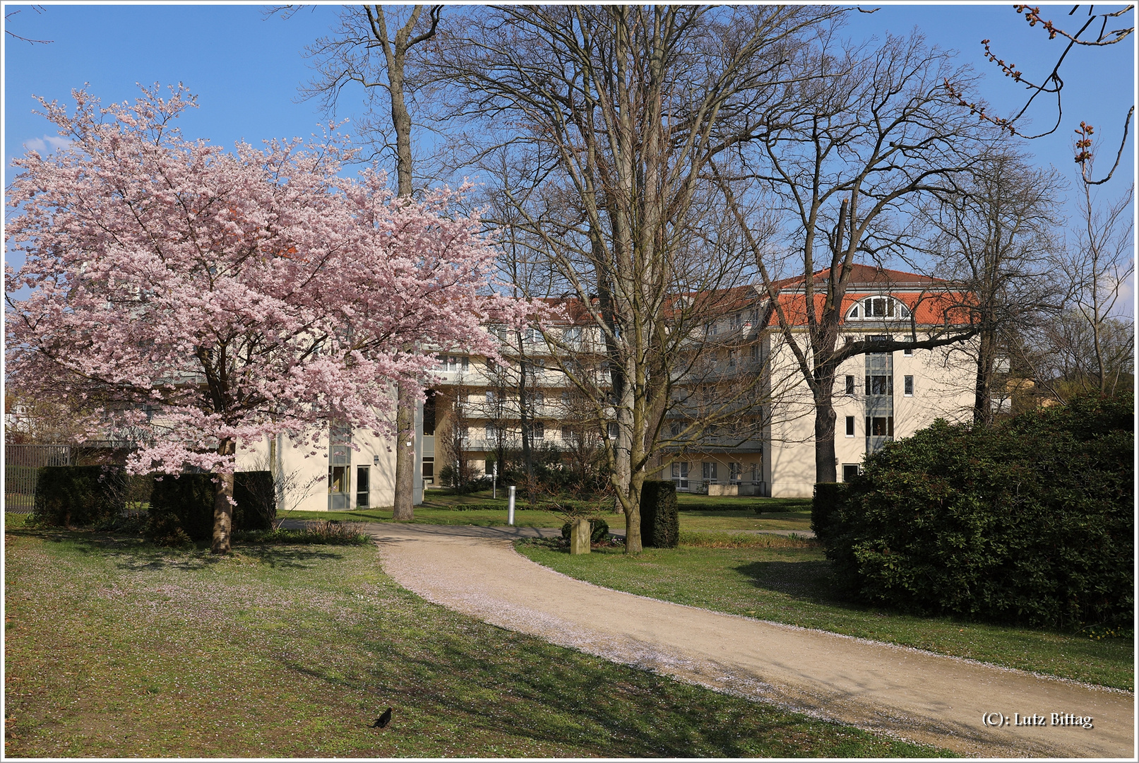 Im Kurpark von Bad Schmiedeberg