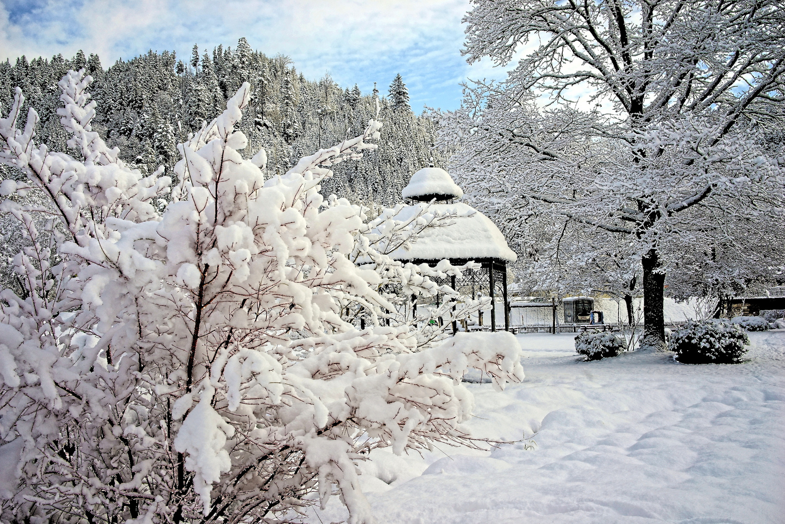 Im Kurpark von Schönmünzach