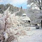 Im Kurpark von Schönmünzach