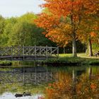 Im Kurpark von Timmendorfer Strand