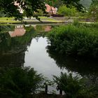 Im Kurparkteich von Oybin