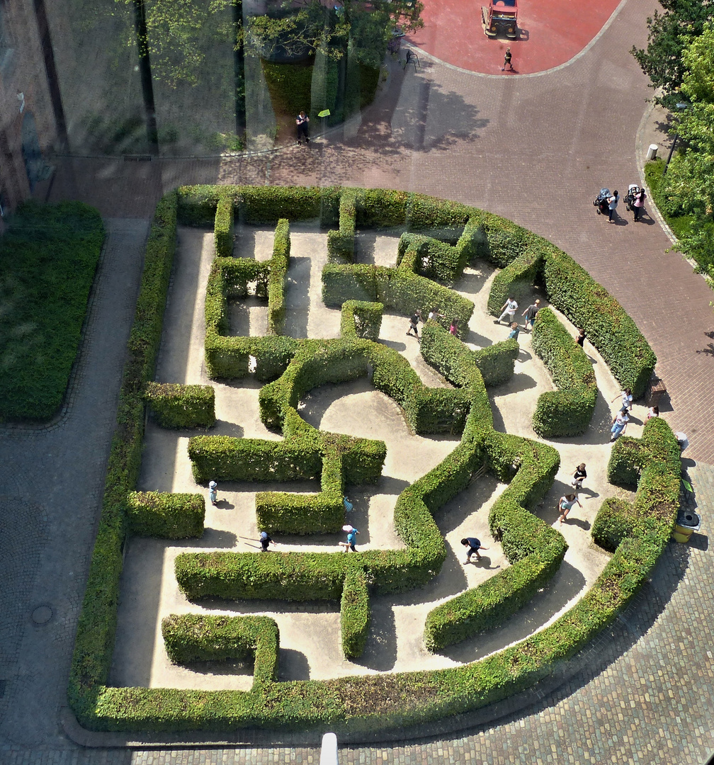 im Labyrinth Foto & Bild | pflanzen, motive, labyrinth Bilder auf