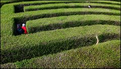 "Im Labyrinth verirrt" :o))