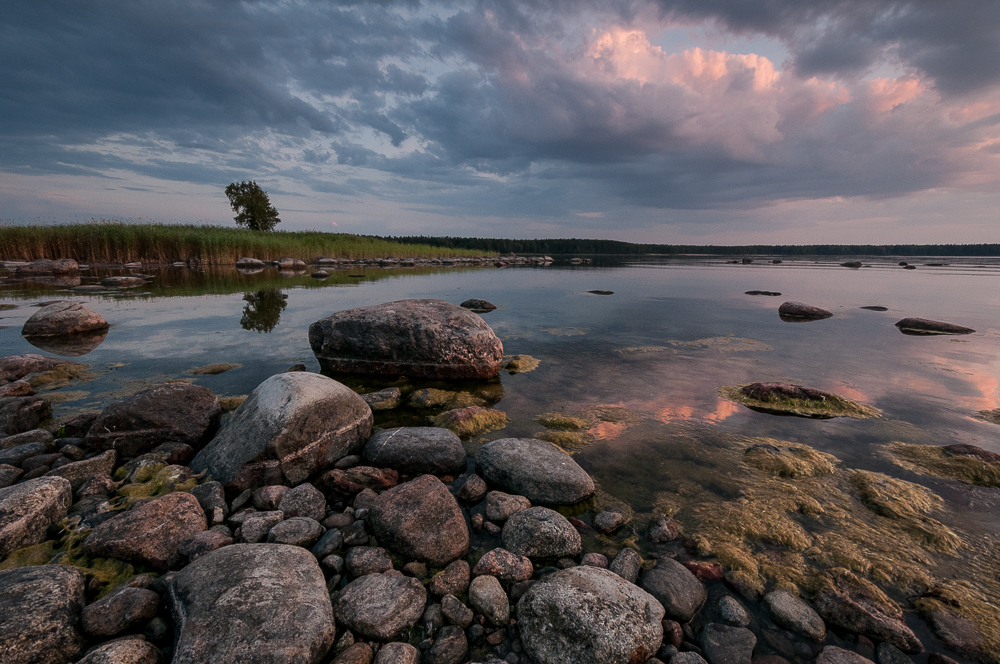 Im Lahemaa Nationalpark