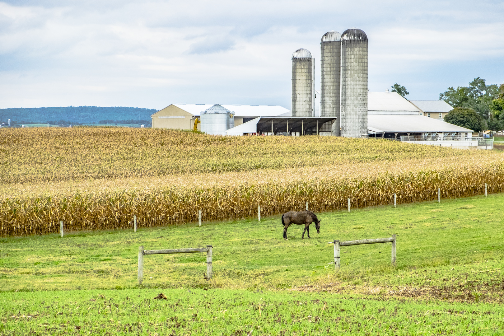 Im Lancaster County