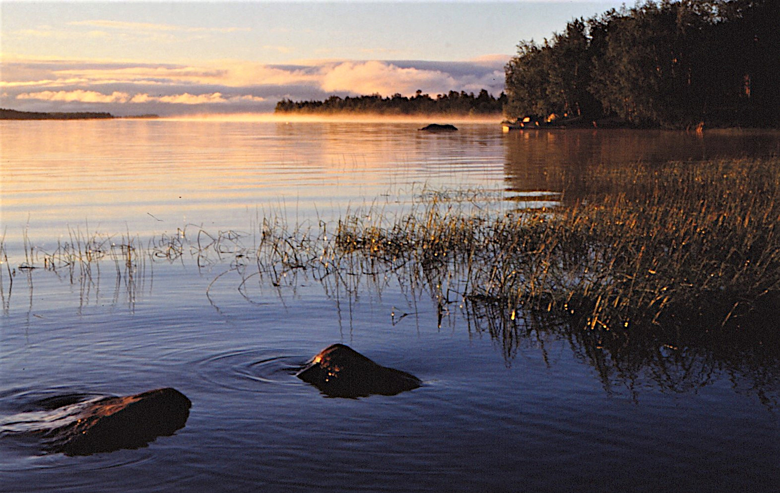 Im Land der 1000 Seen - am Inarisee in Finnland