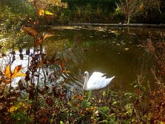 Im Land der 1000 Teiche und Seen