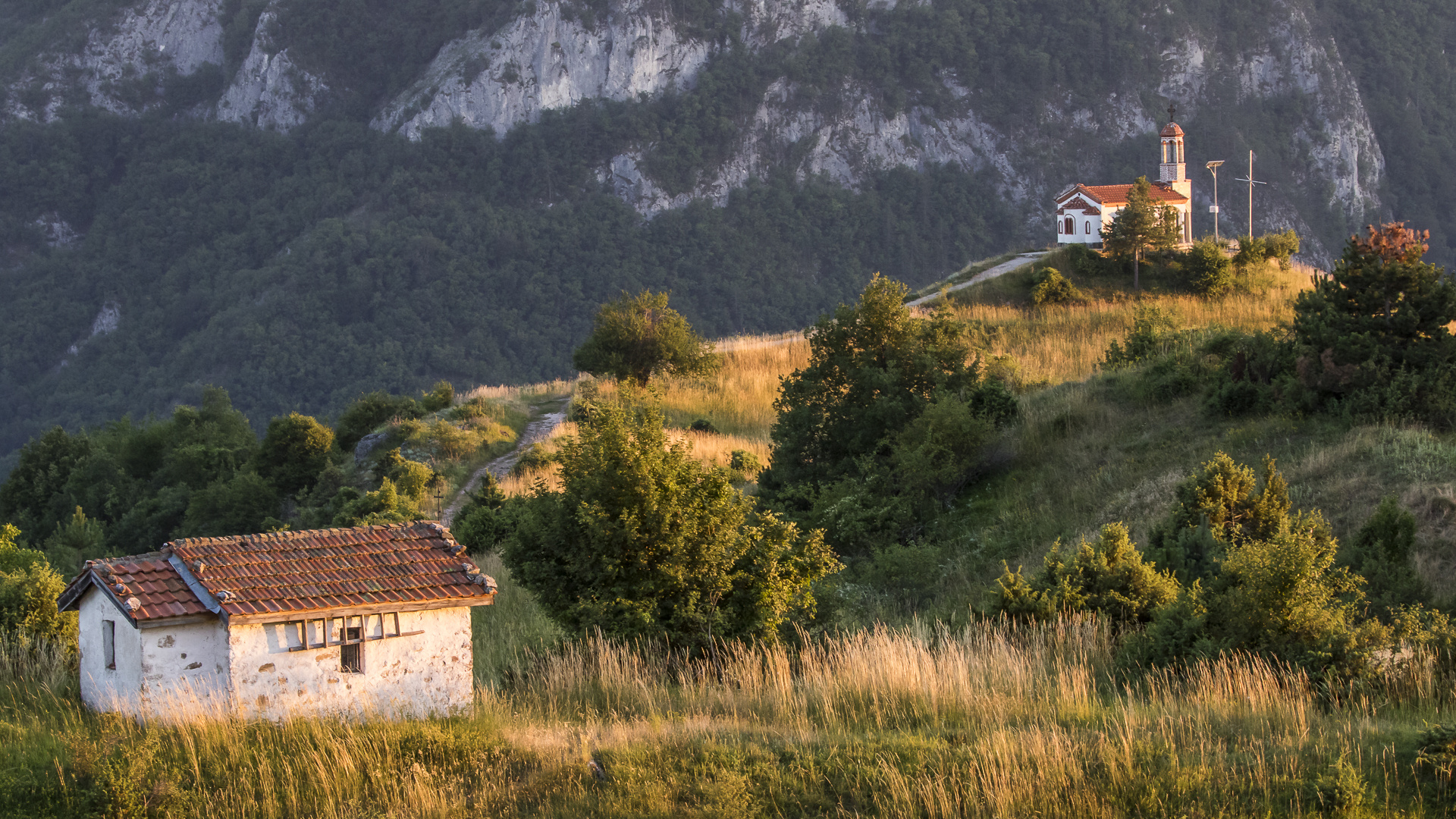 Im Land der Apollofalter