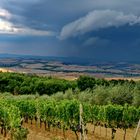 Im Land der Brunello-Weine