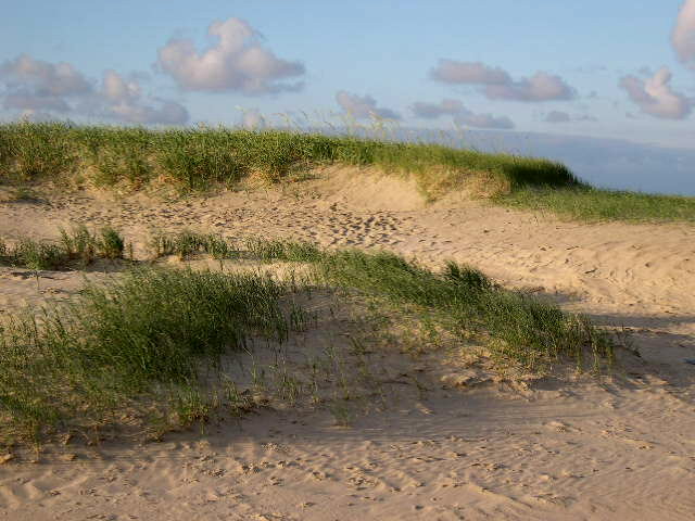 Im Land der Dünen