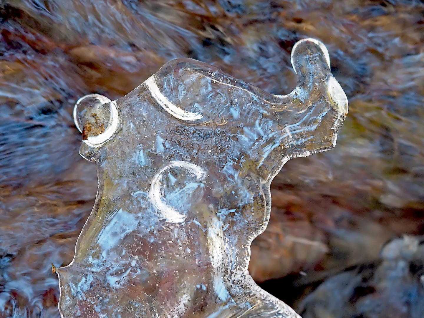 Im Land der Eiskreaturen...