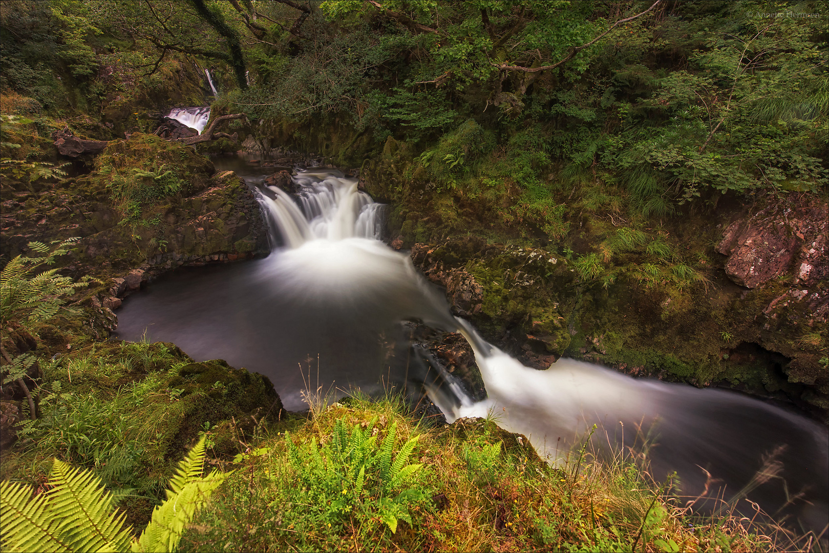 Im Land der Elfen und Druiden