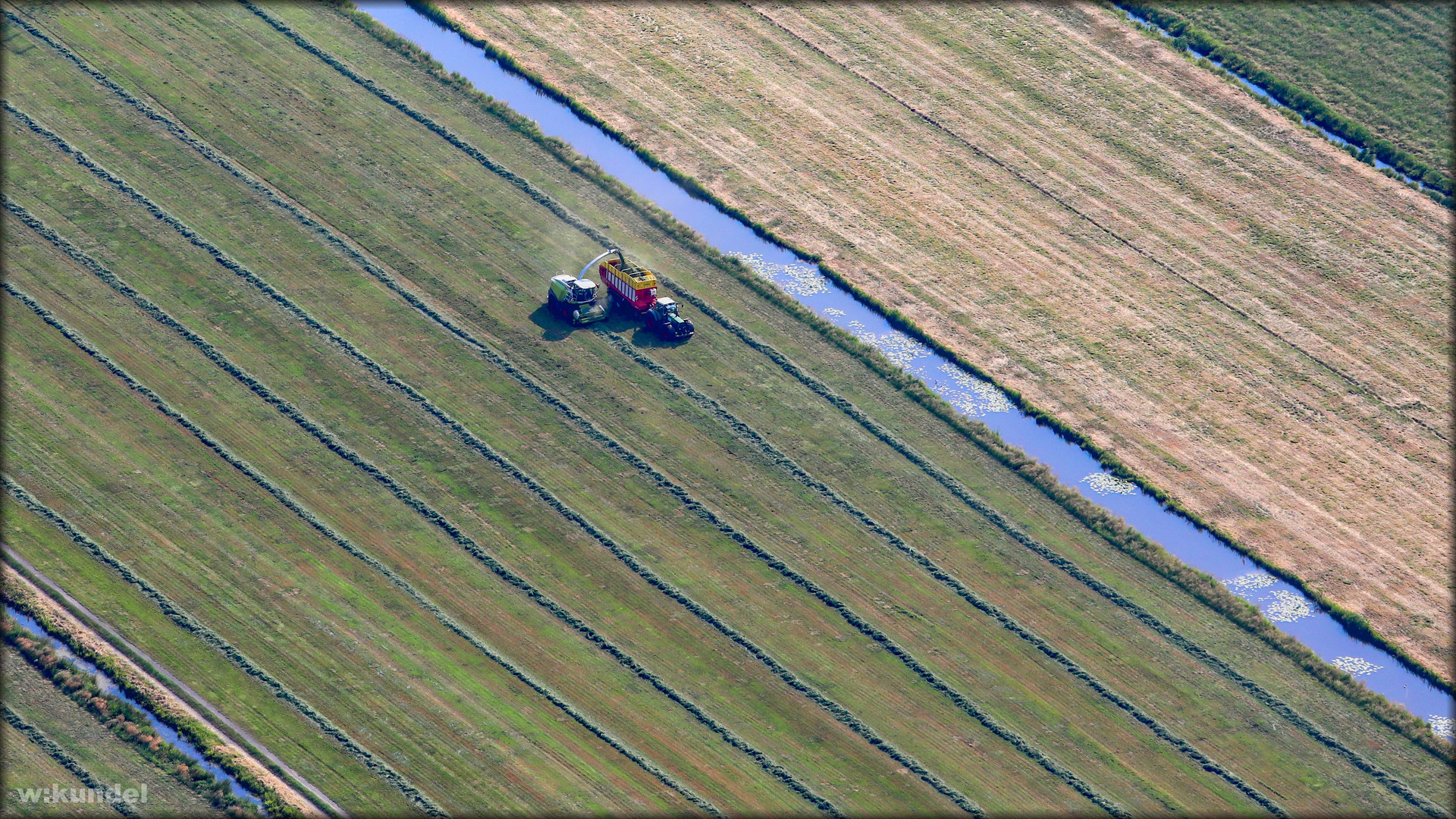 Im Land der Gräser (1)