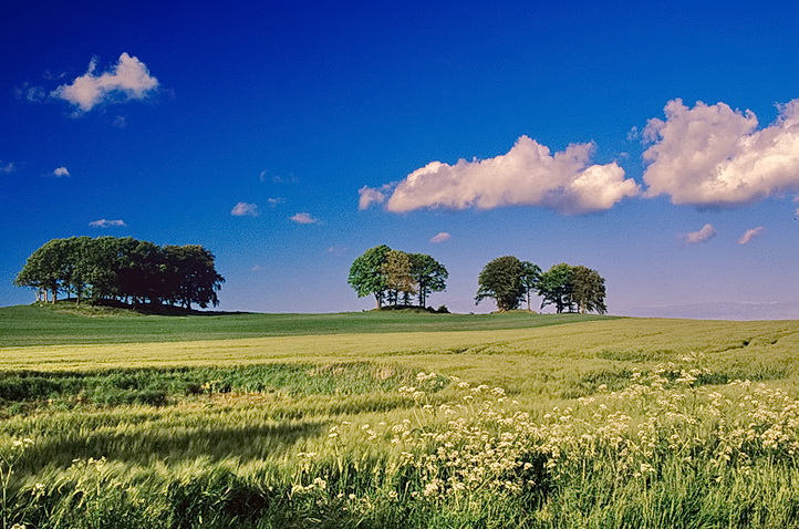 Im land der Hügelgräber...