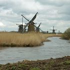 Im Land der Mühlen, Kinderdijk (NL)