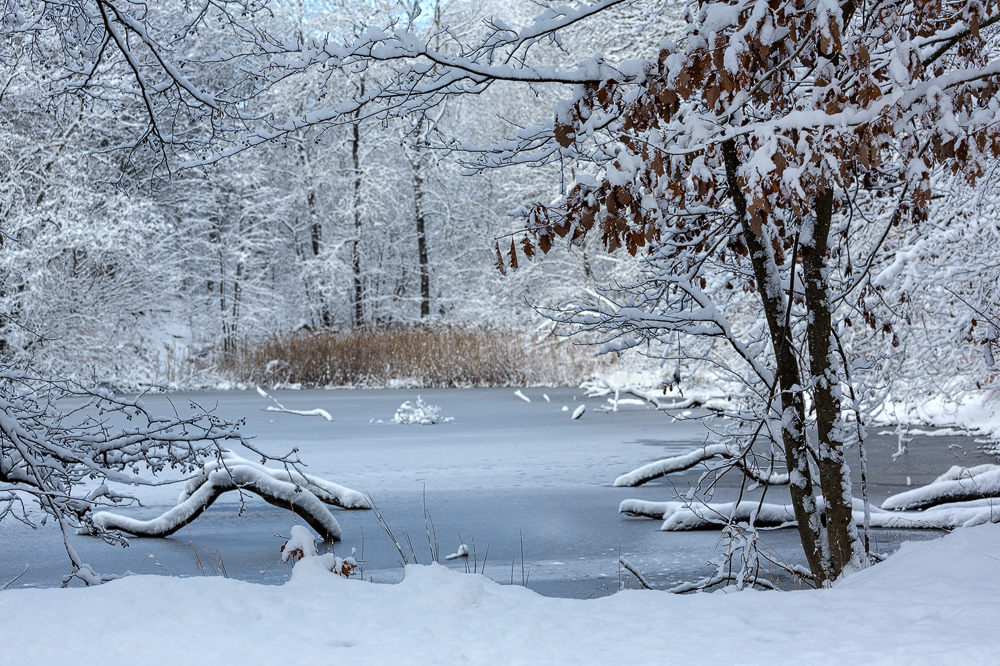 Im Land der Schneewürmer