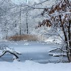 Im Land der Schneewürmer