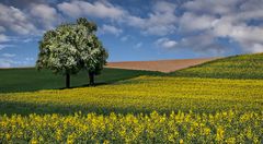 Im Land der tausend Hügel