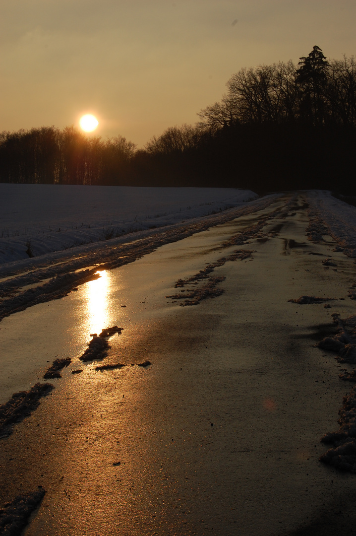 Im Land der tiefstehenden Sonne