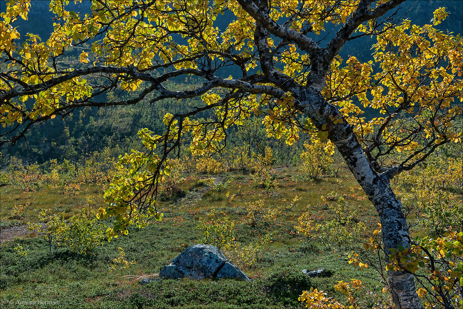 Im Land der Trolle [26] - Leuchtender Herbst