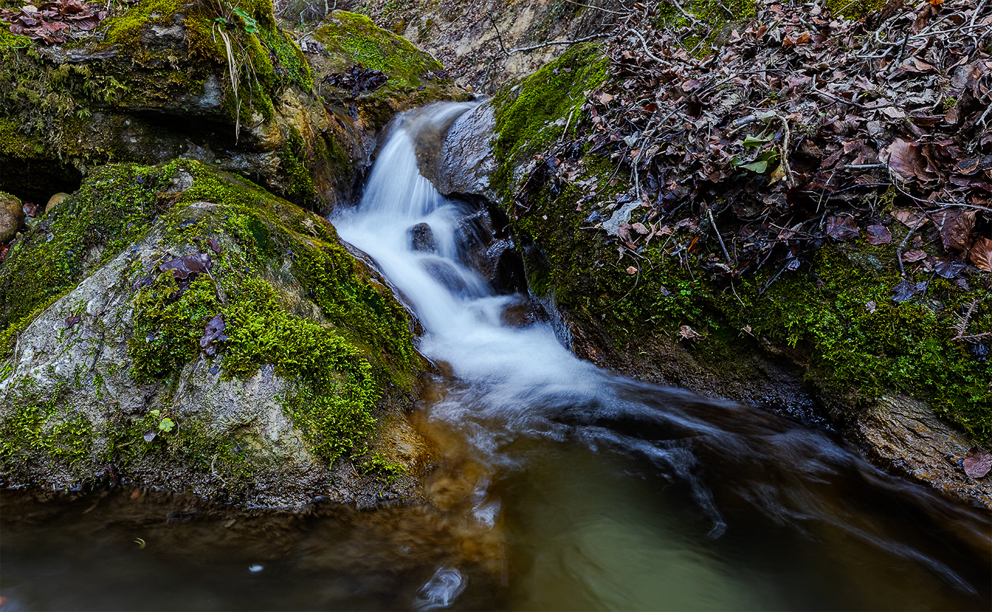 *Im Land der Wasserfälle und Moose VIII*