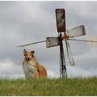 im Land der Windmühlen