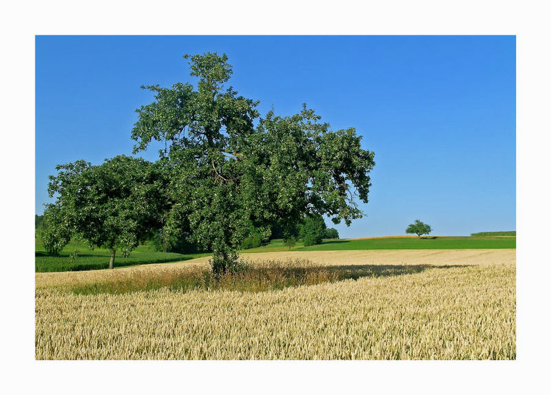 Im Land von Brot und Schatten