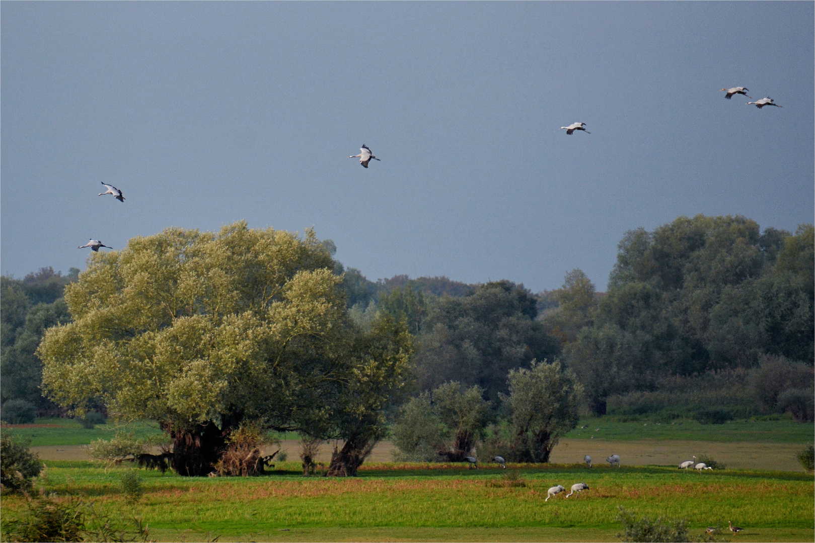 im Lande - anflug-2-