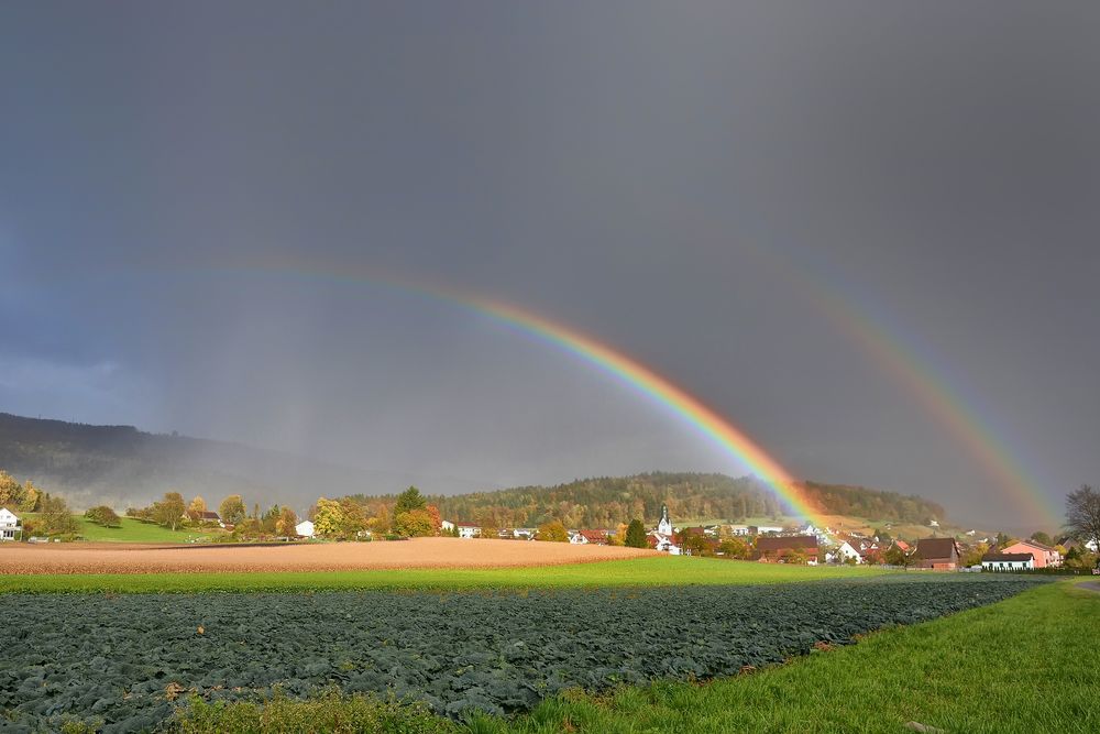 Im Lande des Regenbogen