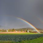 Im Lande des Regenbogen