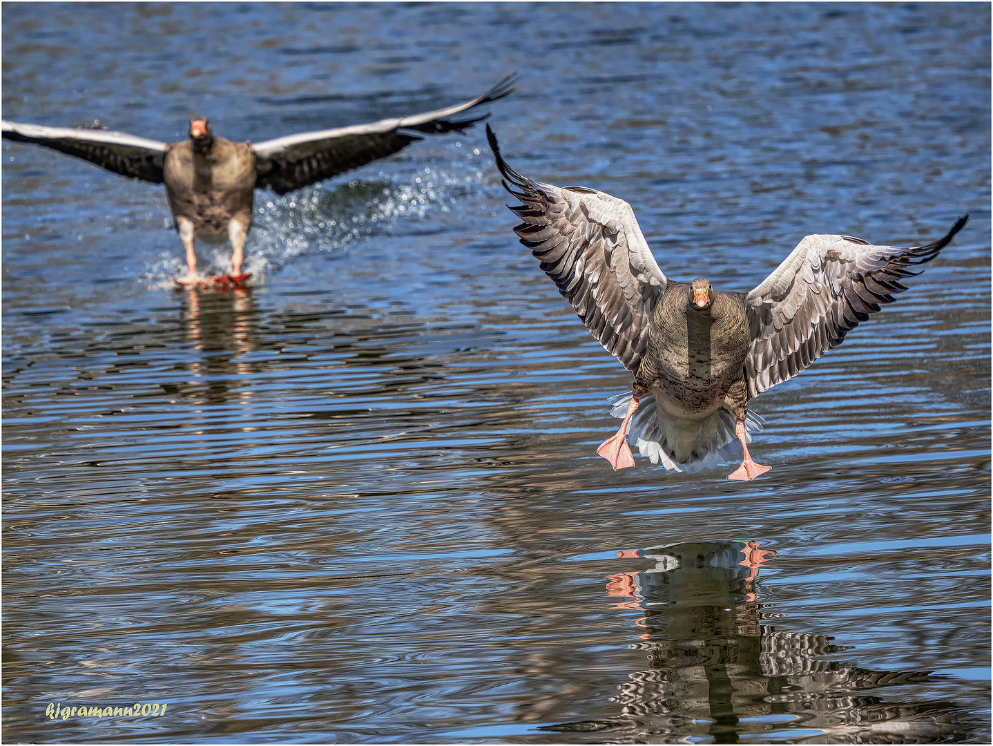 im landeanflug.... 