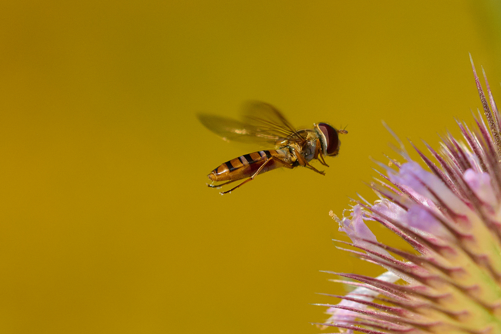 im Landeanflug.....