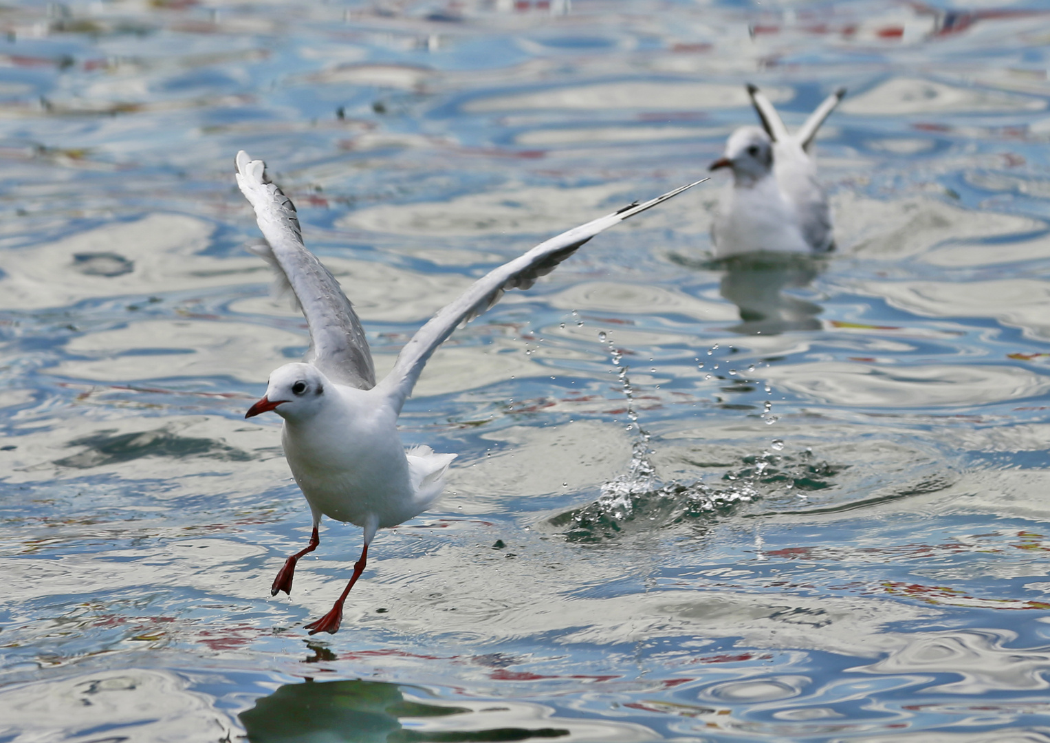 Im Landeanflug....