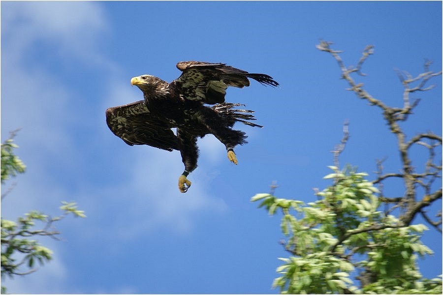 Im Landeanflug....