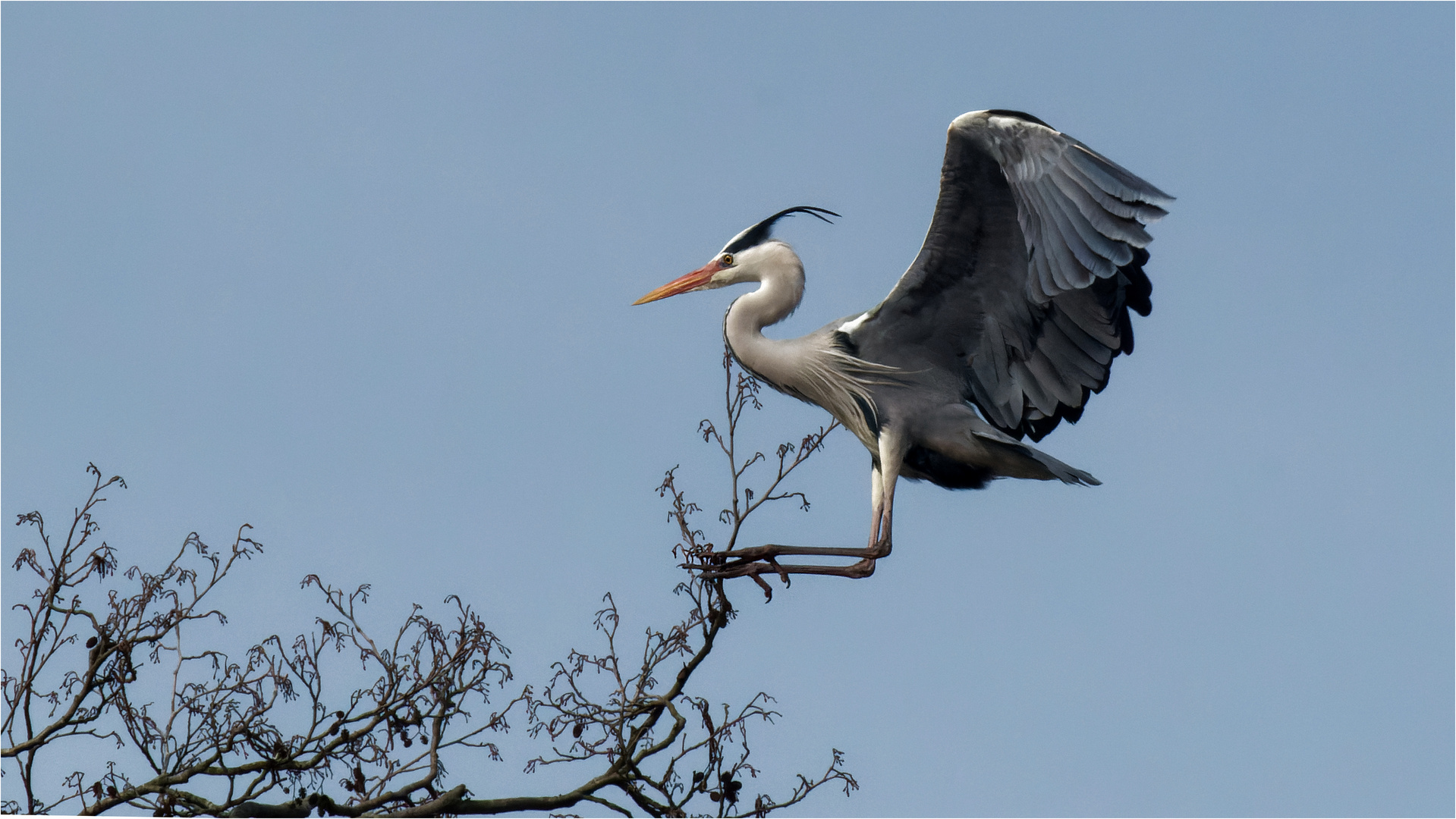 Im Landeanflug   .....