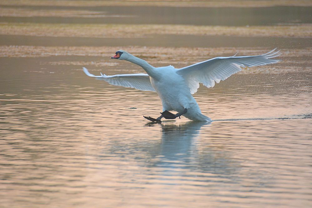 im Landeanflug...