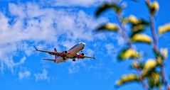 ... im Landeanflug ...