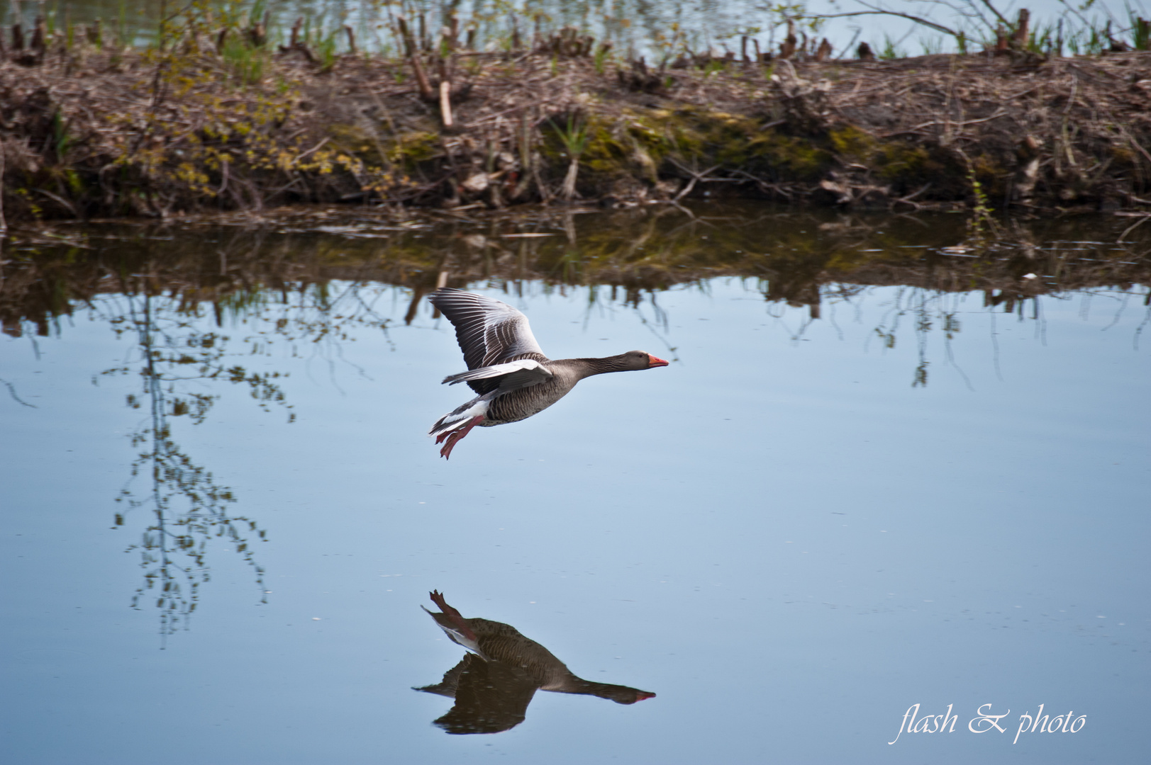 Im Landeanflug