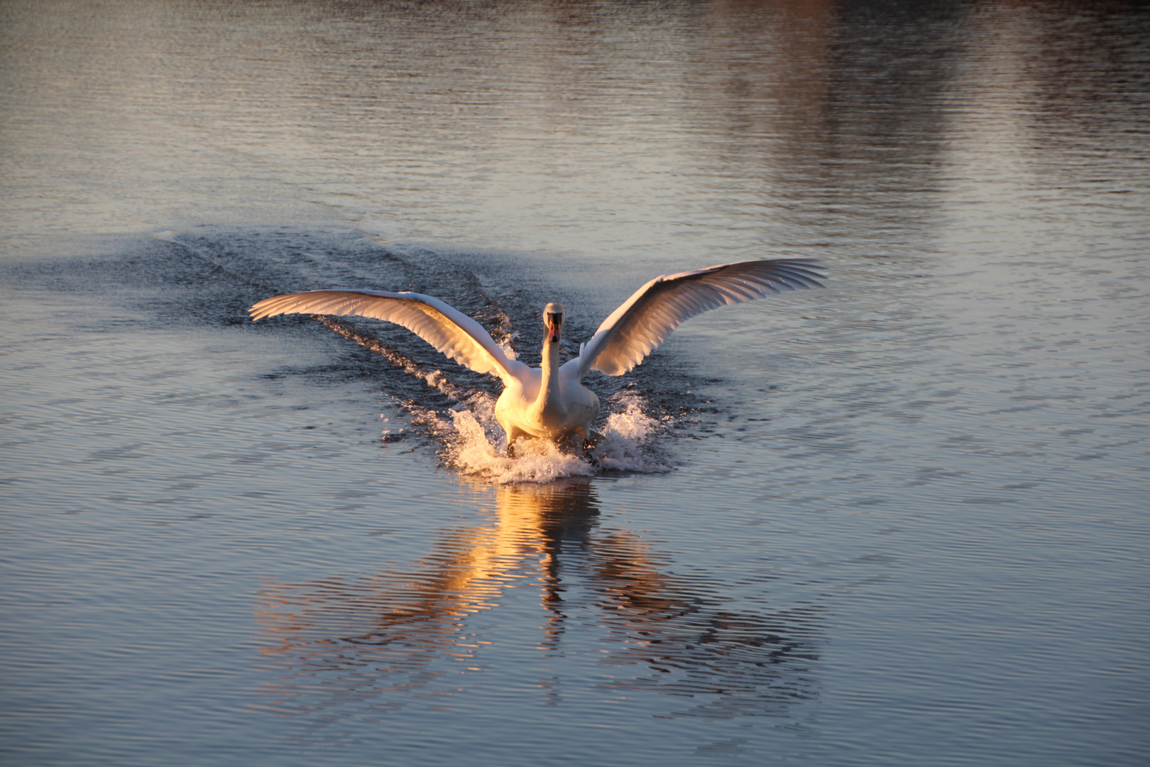 Im Landeanflug....